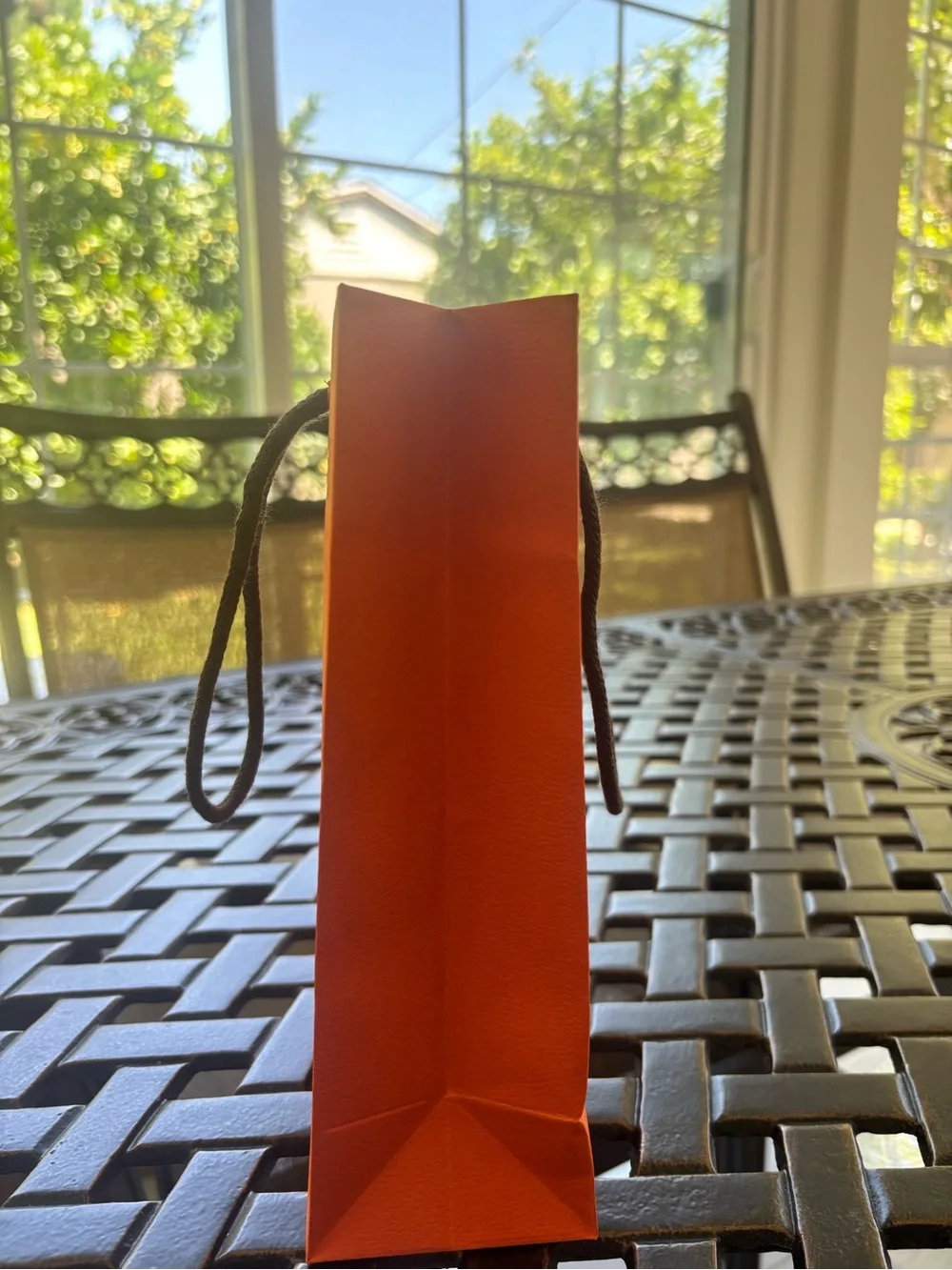 Hermes Orange Gift Bag with Black Rope Handles